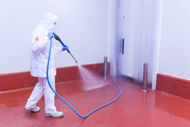 Trusted Franklin, PA Pressure Washing Services Experts